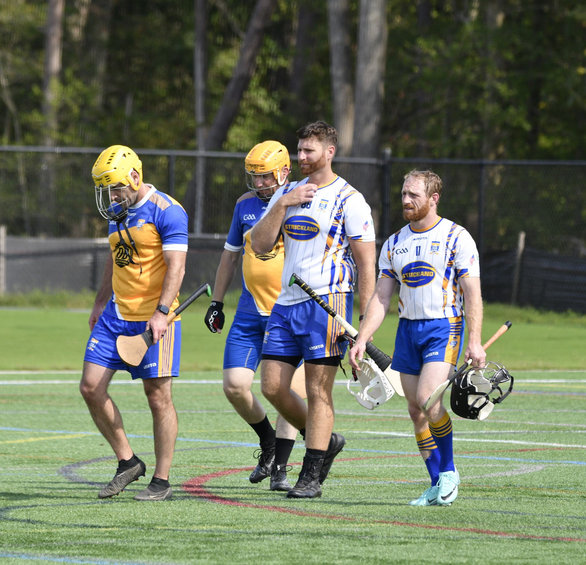 Richmond Battery GAA/hurling